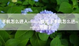 手机怎么进入recovery模式（手机怎么进recovery界面）