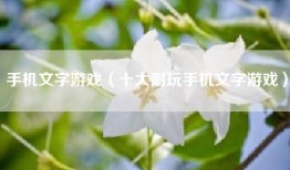 手机文字游戏（十大耐玩手机文字游戏）