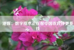港媒：数字技术正在帮中国农民挣更多钱