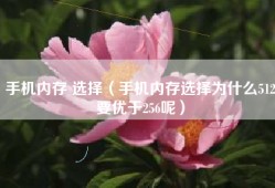 手机内存 选择（手机内存选择为什么512要优于256呢）