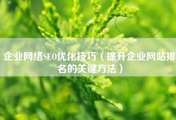 企业网络SEO优化技巧（提升企业网站排名的关键方法）