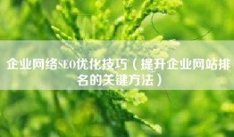 企业网络SEO优化技巧（提升企业网站排名的关键方法）