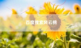 百度搜索风云榜