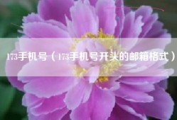 173手机号（173手机号开头的邮箱格式）