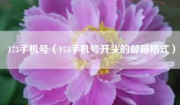 173手机号（173手机号开头的邮箱格式）
