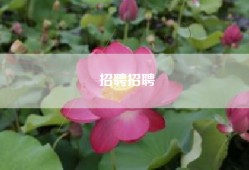 招聘招聘