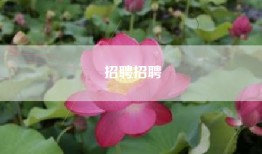 招聘招聘