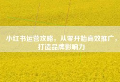 小红书运营攻略，从零开始高效推广，打造品牌影响力
