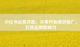 小红书运营攻略，从零开始高效推广，打造品牌影响力