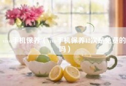 vivo手机保养（vivo手机保养12次是免费的吗）