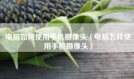 电脑如何使用手机摄像头（电脑怎样使用手机摄像头）
