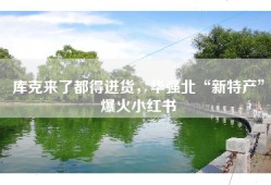 库克来了都得进货，华强北“新特产”爆火小红书