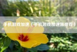 手机游戏加速（手机游戏加速器推荐）