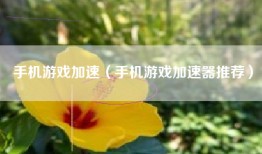 手机游戏加速（手机游戏加速器推荐）