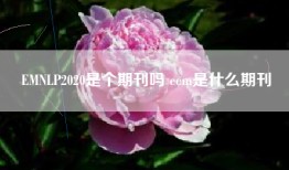 EMNLP2020是个期刊吗 eem是什么期刊