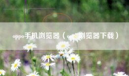 oppo手机浏览器（oppo浏览器下载）