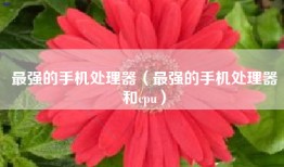 最强的手机处理器（最强的手机处理器和cpu）