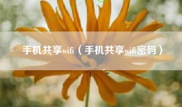 手机共享wifi（手机共享wifi密码）