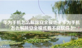 华为手机怎么解除安全模式（华为手机怎么解除安全模式看不良软件）