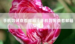 手机如何查看邮箱（手机如何查看邮箱文件）