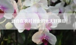 适合在农村创业的十大好项目