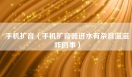 手机扩音（手机扩音器进水有杂音滋滋咋回事）