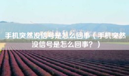 手机突然没信号是怎么回事（手机突然没信号是怎么回事？）