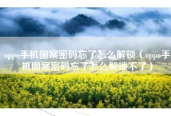 oppo手机图案密码忘了怎么解锁（oppo手机图案密码忘了怎么解锁不了）