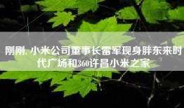 刚刚, 小米公司董事长雷军现身胖东来时代广场和360许昌小米之家