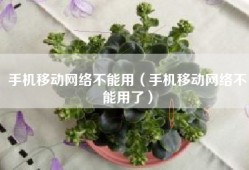 手机移动网络不能用（手机移动网络不能用了）