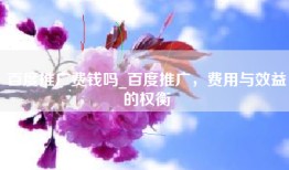 百度推广费钱吗_百度推广，费用与效益的权衡