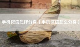 手机微信怎样分身（手机微信怎么分身）