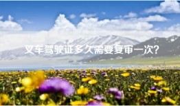 叉车驾驶证多久需要复审一次？