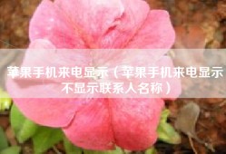 苹果手机来电显示（苹果手机来电显示不显示联系人名称）