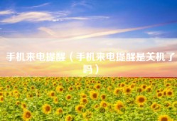 手机来电提醒（手机来电提醒是关机了吗）