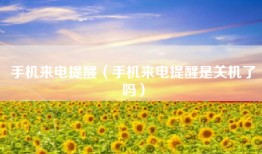 手机来电提醒（手机来电提醒是关机了吗）
