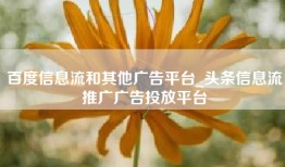 百度信息流和其他广告平台_头条信息流推广广告投放平台