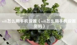 wifi怎么用手机设置（wifi怎么用手机设置密码）