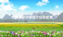 华为家庭存储首次安装配置