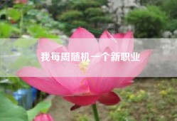 我每周随机一个新职业