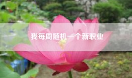 我每周随机一个新职业