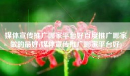 媒体宣传推广哪家平台好百度推广哪家做的最好(媒体宣传推广哪家平台好)