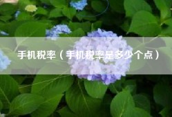 手机税率（手机税率是多少个点）