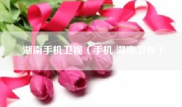 湖南手机卫视（手机 湖南卫视）