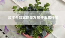 数字金融高质量发展迎来路线图