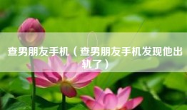 查男朋友手机（查男朋友手机发现他出轨了）