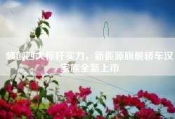 领创四大标杆实力，新能源旗舰轿车汉家族全新上市