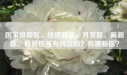 国家级新区、经济特区、开发区、高新区、自贸区等有何区别？有哪些区？