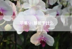 苹果NFC都能干什么