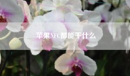 苹果NFC都能干什么
